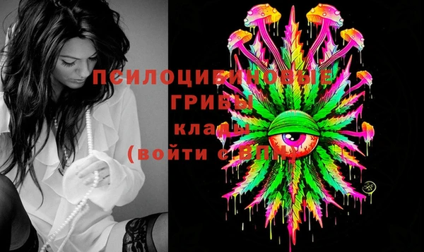 прущая мука Магадан