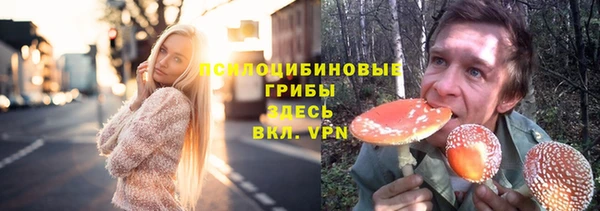 дживик Майский